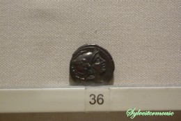 Coin in the National Gallery in Rome