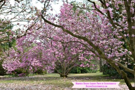Pictorial Tour of the Memphis Botanic Gardens