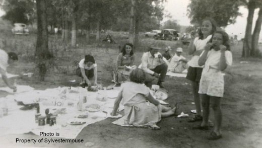 Family Picnic - Photo from Sylvestermouse Family archieves