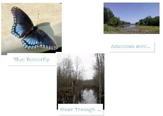 nature photos